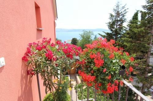 Apartments Mauro