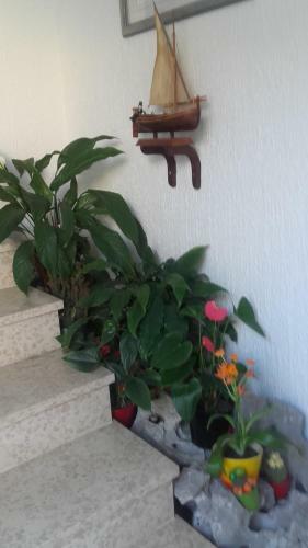 Apartment Bojana