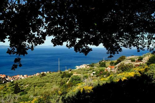 Villa " Davorka"