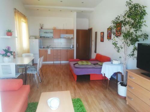 Apartman Marko