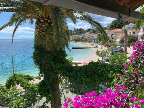 Apartamento Bouganville Seafront Studio