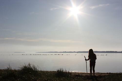 Traditionelles Reethaus Direkt An Der Ostsee