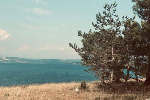 Apartamento Prelijep Stan S Pogledom Na More