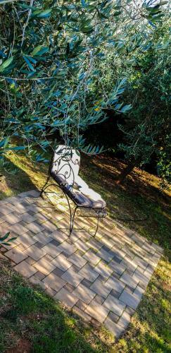Agroturismo Country Home Milojevic