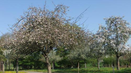 G�tes De L'aumondi�re