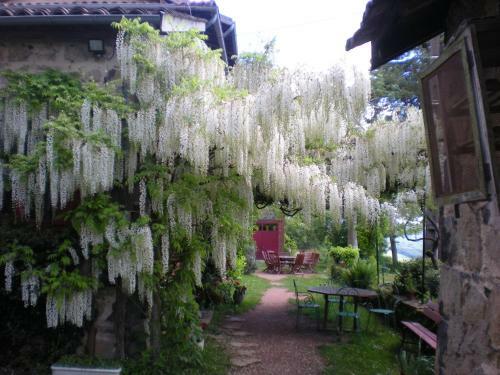 Bed & Breakfast Maison D'h�tes De La Verri�re