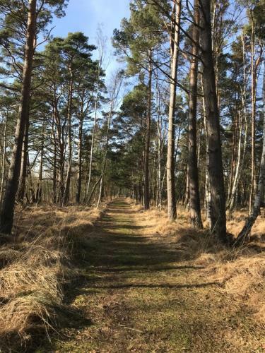 Ostseetraum - Apartment Und Mee(h)r