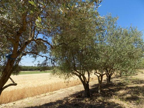 C�t� Cour, C�t� Jardin