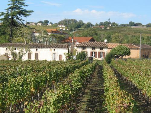 Bed & Breakfast Chateau Rousselle