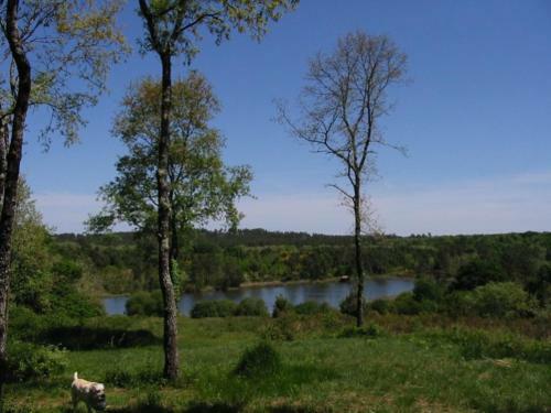 Bed & Breakfast La Musardi�re