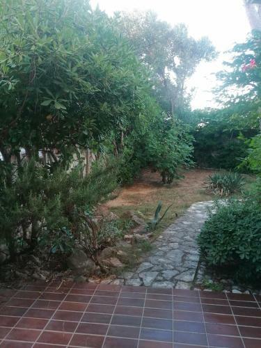 Novalja Gajac Zrce, Apartment Garden