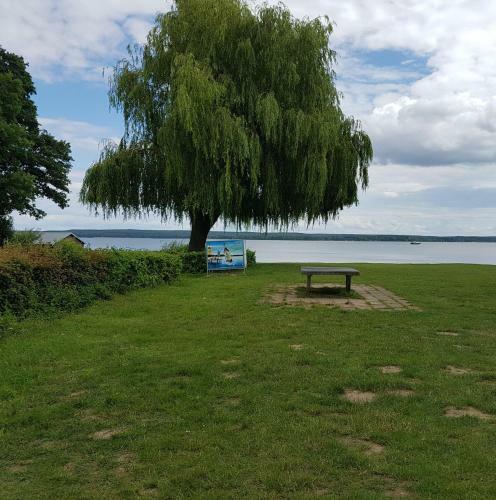 Ferienhaus Plau Am See Direkt Am Strand