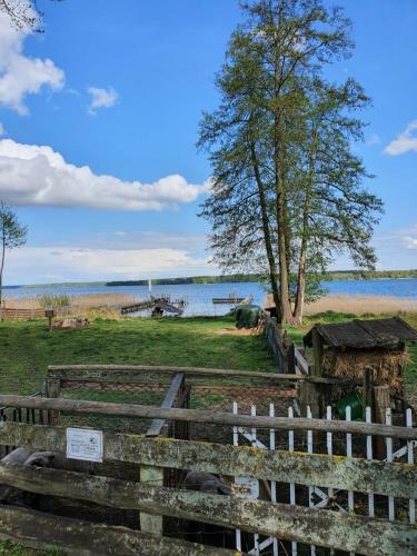 Apartment Altes Pfarrhaus In Plau Am See