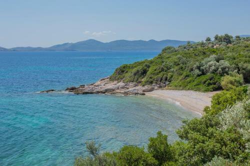 Seafront Paradise