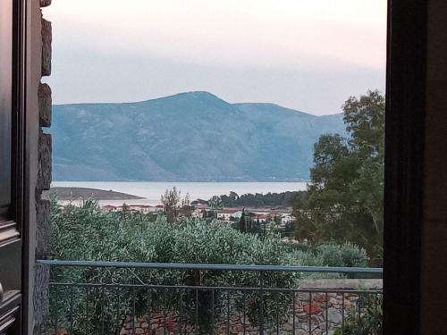 Villa In The Olive Trees