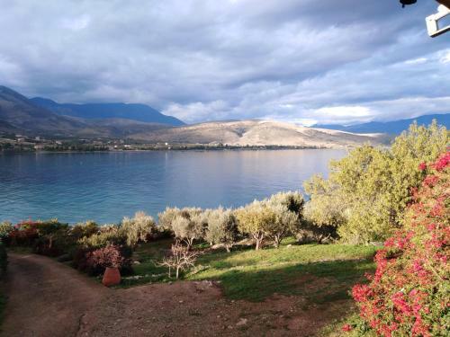 Villa Aphrodite's Coast Retreat House!
