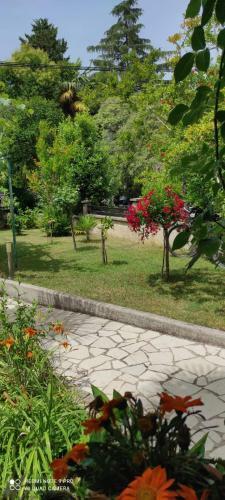 Apartment Jozefina