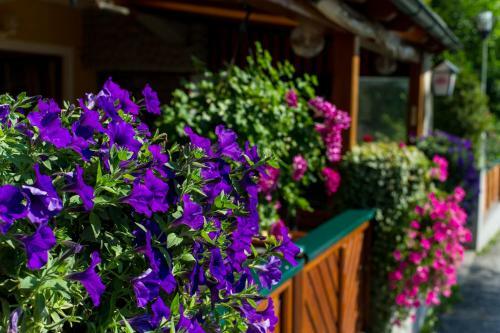 Hostal Gasthof Appartements Kirchenwirt