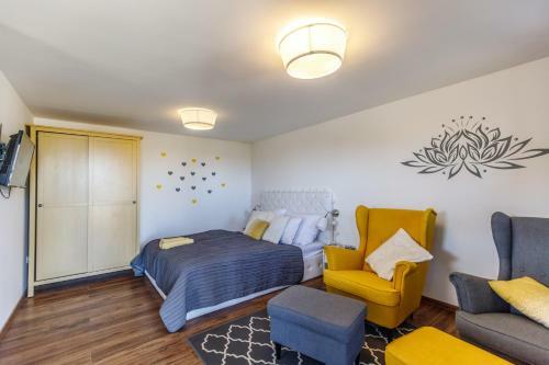 Hostal Bor�rium Vend�gh�zak - Zen-g? H�z
