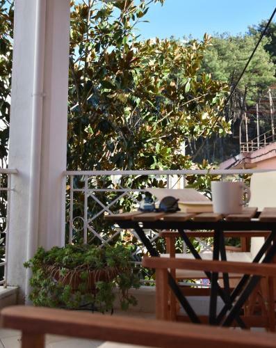Villa Magnolia House In Ioannina