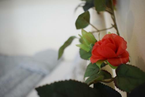 Apartamento Ioannina Candy Studio