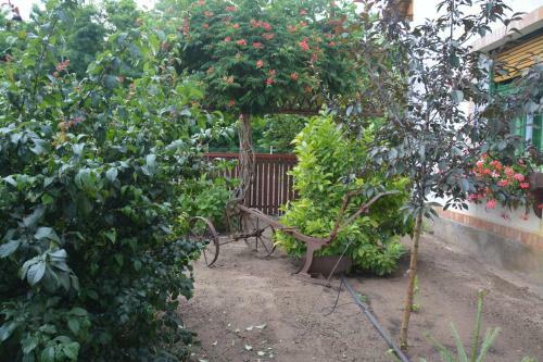 Agroturismo N�meth Tanya Vend�gh�z