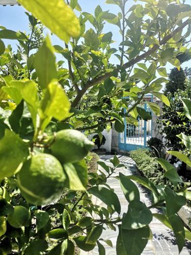 Apartamento Ferienhaus Athens Marmor Garden