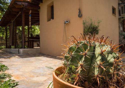 Santa Cruz Country Cottage