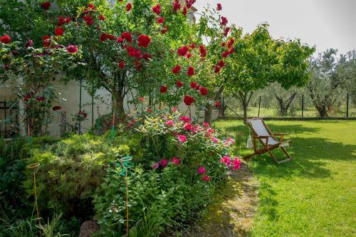 Rustic, Luxurious,garden Villa 70m From The Sea