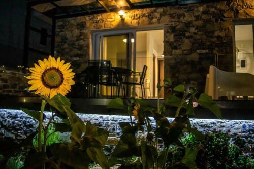 Apartamento Istron Avra