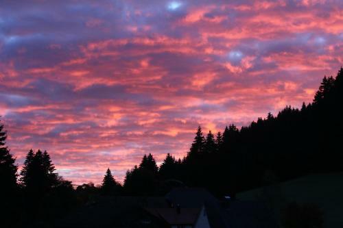 Hostal Gasthof Schwarzwaldtanne