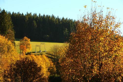 Hostal Gasthof Schwarzwaldtanne