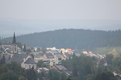 Hostal Gasthof Schwarzwaldtanne