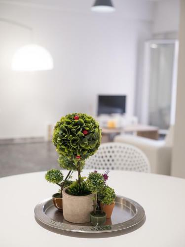 City Center Apartment In Great Location