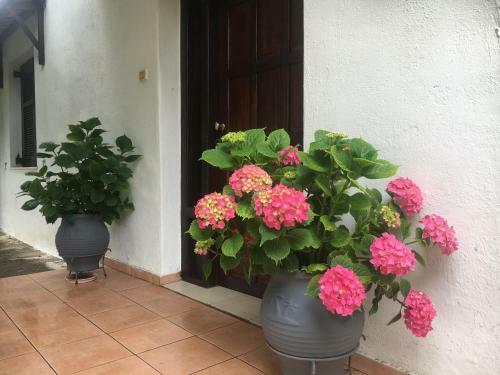 Agroturismo Sarakinas Farm House
