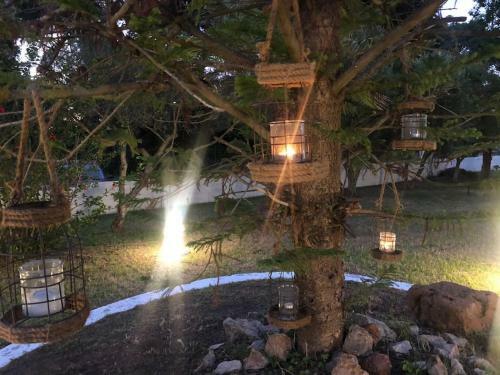 Villa Anastasia! In Strofylia Pine Forest!!!