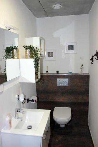 Apartamentos Studio-sch8