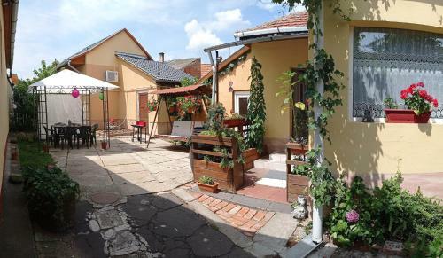 Borina Vend�gh�z