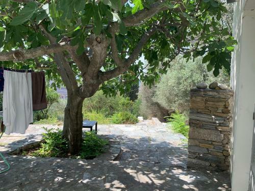 Apartamento Wood & Stone House In Old Styra