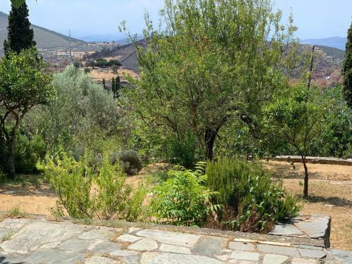 Apartamento Wood & Stone House In Old Styra