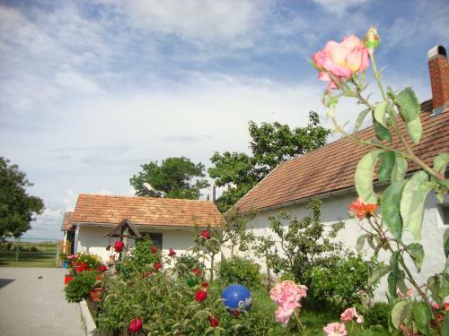 Ferienhaus Somloi Sell�