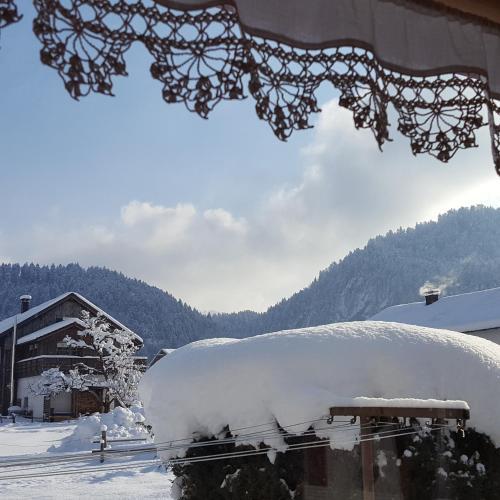 Apartamento Appartements G�stehaus Monika