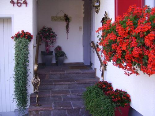 Apartamento Appartements G�stehaus Monika