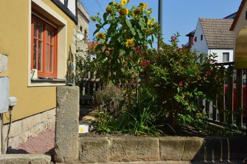Apartamento Dreiseitenhof Radebeul