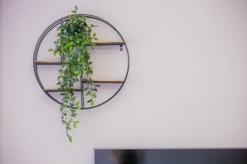 Apartamento La Pietra Verga