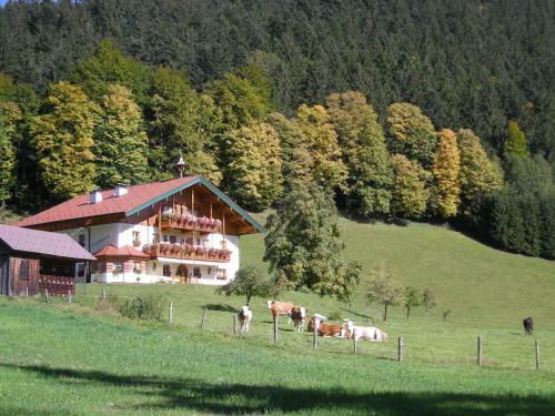 Apartamento Appartement Schmiedbauernhof