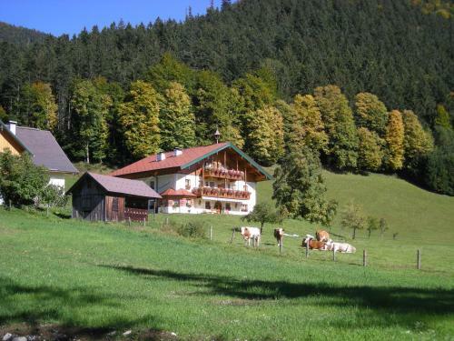 Apartamento Appartement Schmiedbauernhof