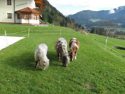 Apartamento Appartement Schmiedbauernhof