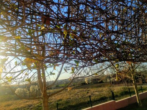 Apartamento Ardas Studio