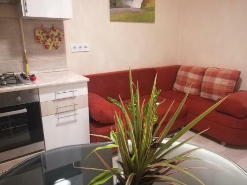 R�kusi Apartman Szeged